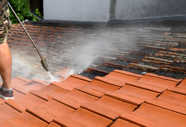Best Affordable Power Washing  in Lyons, GA