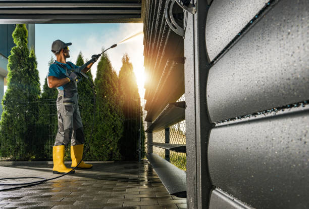 Best Roof Power Washing Services  in Lyons, GA